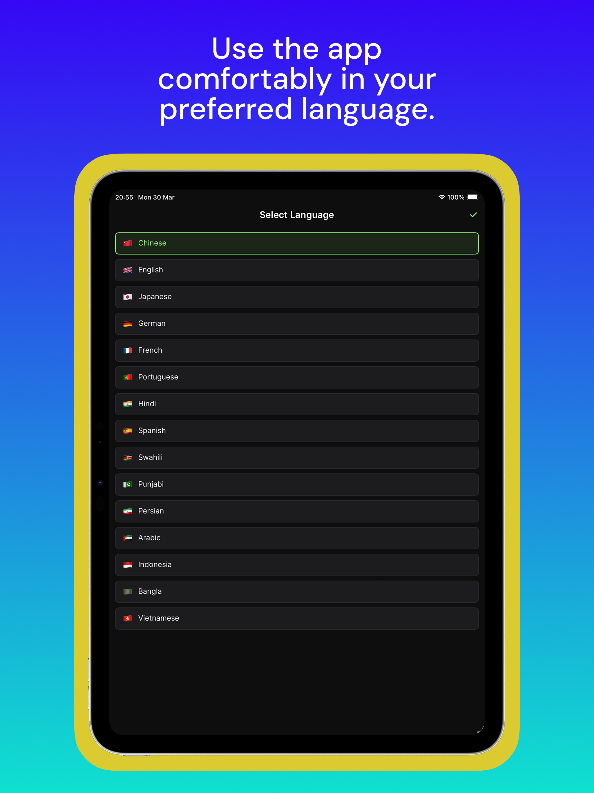 iPad - Canvas settings